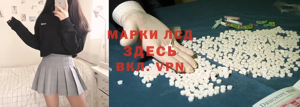 apvp Бородино