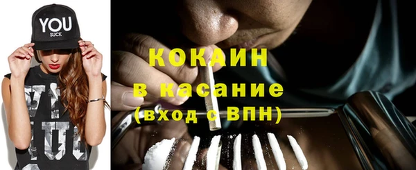 apvp Бородино