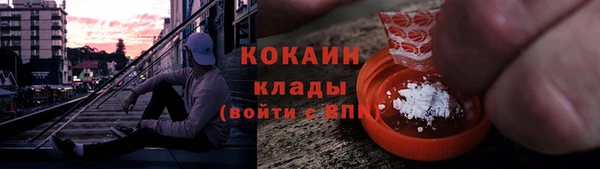 apvp Бородино