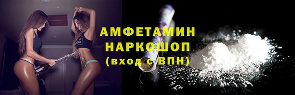 apvp Бородино