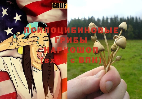 МДПВ Алагир