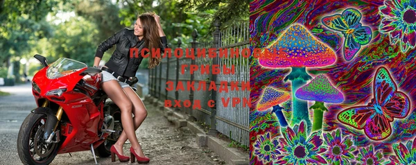 apvp Бородино