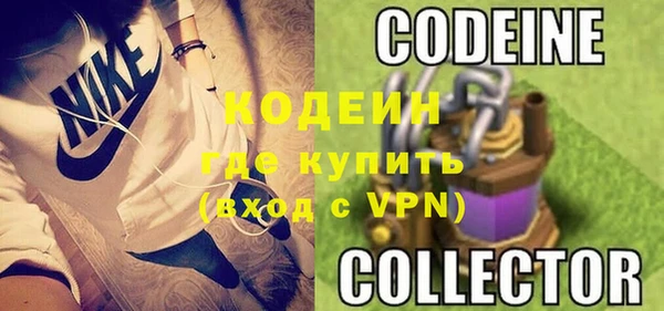 apvp Бородино